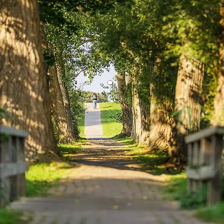 5 Sterne Stranddomizil Mit Eckbalkon Und Boddenblick