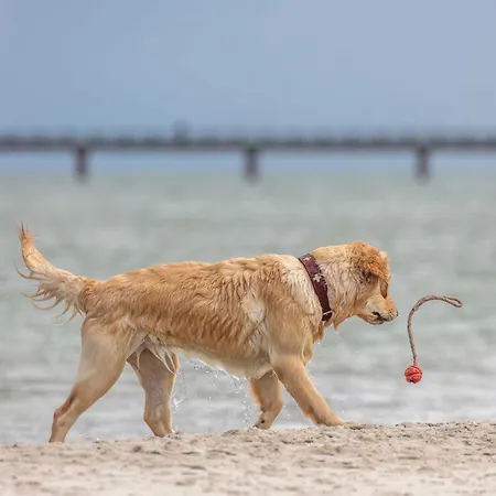 Apartamento 5 Sterne Stranddomizil Mit Eckbalkon Und Boddenblick